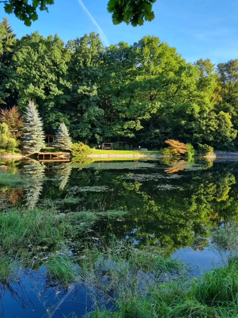 24ece6f3-eae2-4092-bf4c-87c327d8071b