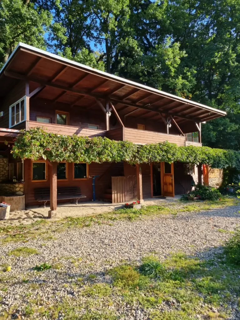 55eef704-c236-4b32-ab63-3273a5b03701