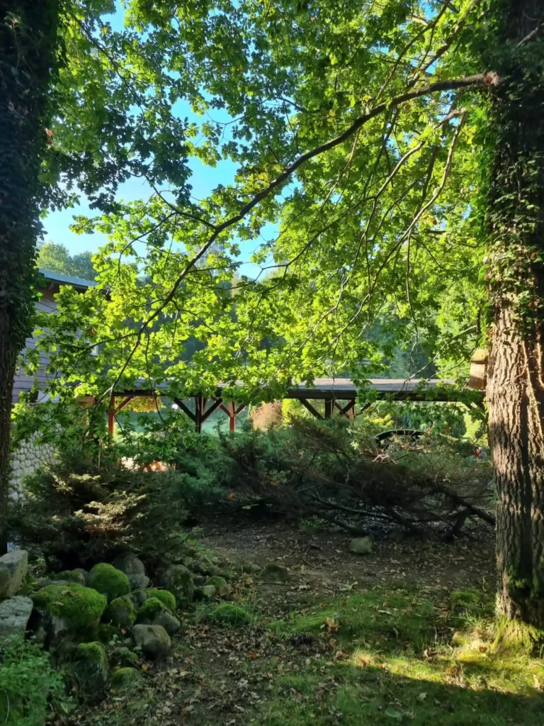 b0a6e558-5006-477d-a720-e8c00e4b5833