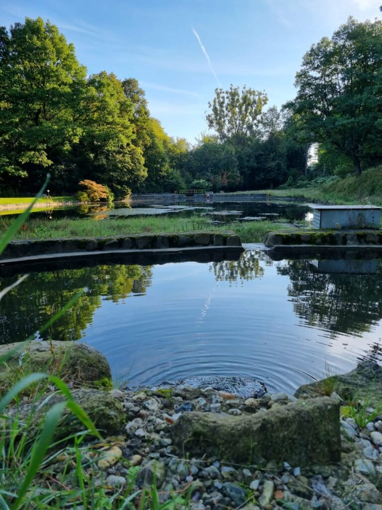 26b1ba3c-b340-48f3-aeea-6badb9468f4d