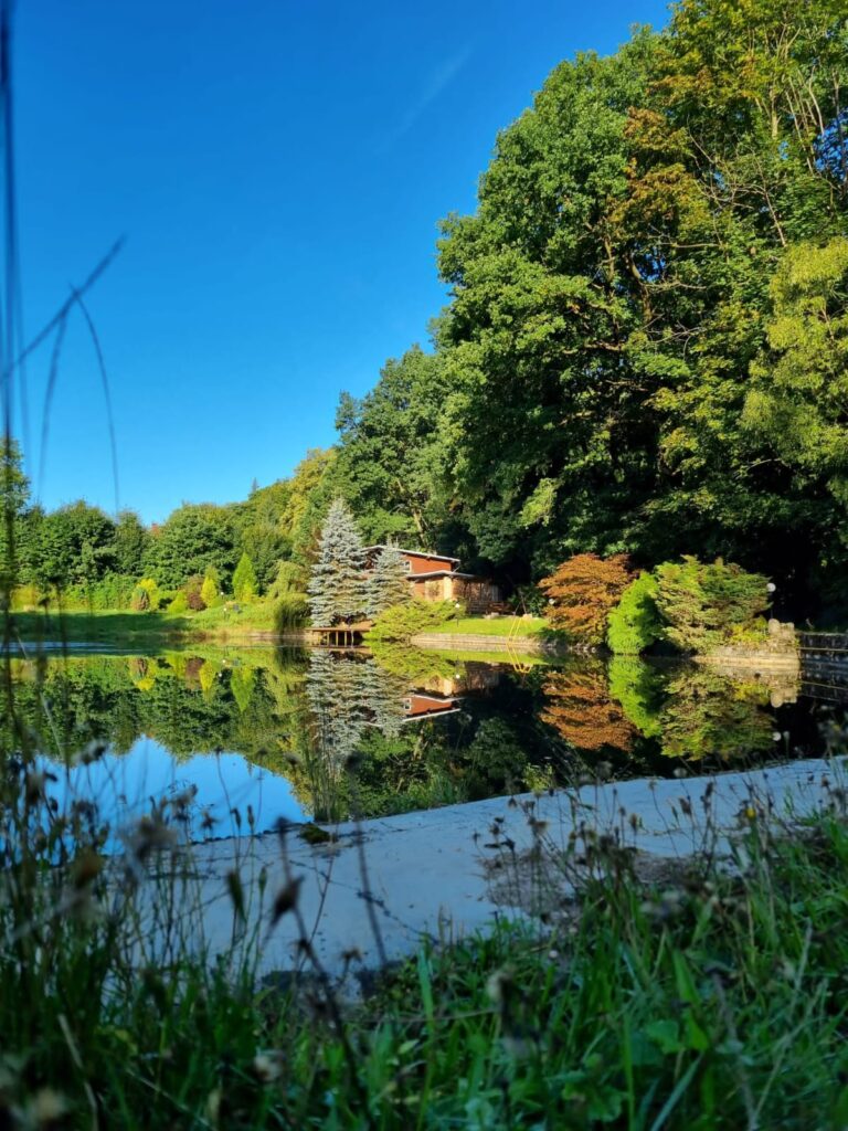 7911c13d-b963-4d25-b97b-c2d533b97115